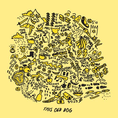 Mac DeMarco This Old Dog album cover