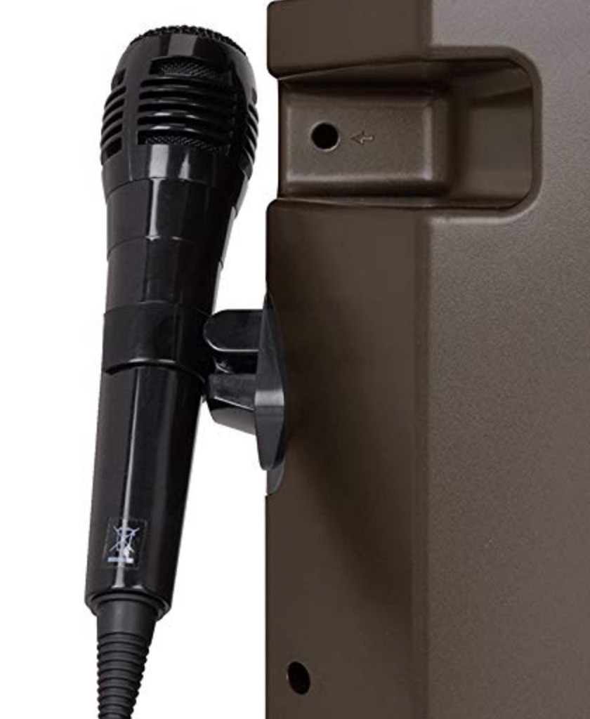 We Review the Best Karaoke Systems For Home Use