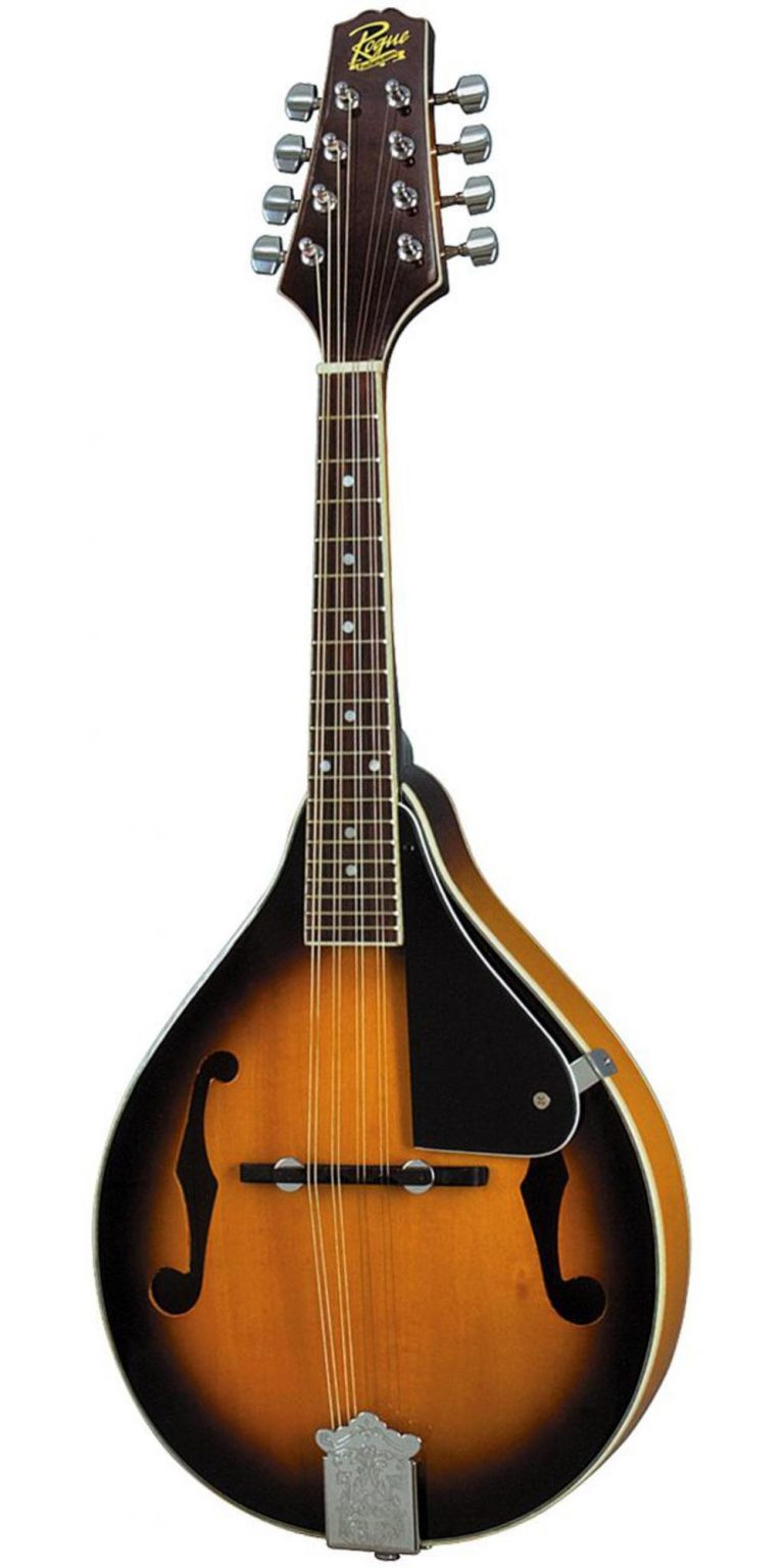 What are the Different Types of Mandolin?