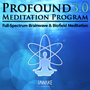 Profound Meditation Program